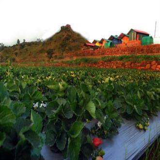 Tent Accommodation In Panchgani, Panchgani 2